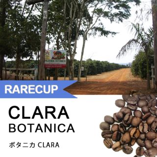 【レアカップ】ボタニカ CLARA  180g（WEB限定）クリアストッカー入り 【中煎り】