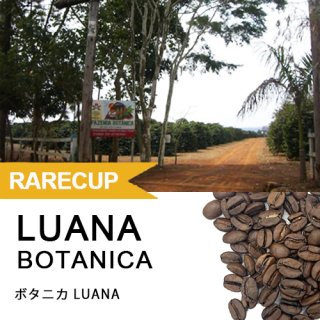 【レアカップ】ボタニカ LUANA  180g（WEB限定）クリアストッカー入り