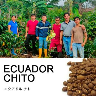 【コーヒー豆】通販限定 エクアドル・チト  (100g) 【中煎り】南米フェア