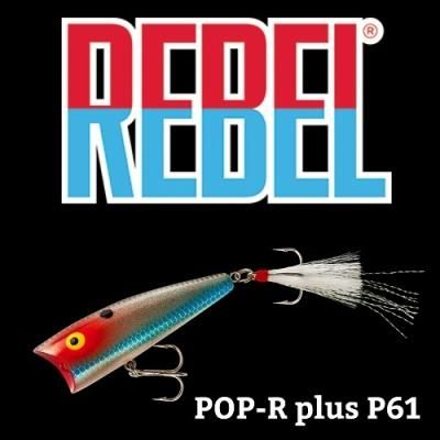 ラスト1個 REBEL レーベル ポップRプラス P61 - ファイン