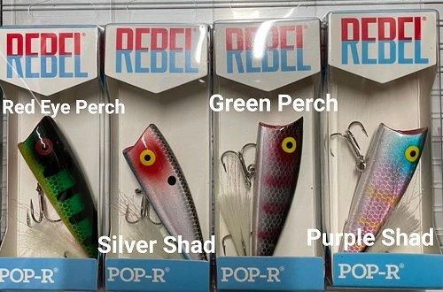 ラスト1個 REBEL レーベル ポップRプラス P61 - ファイン