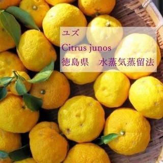 椺 / 縩å󥷥륪