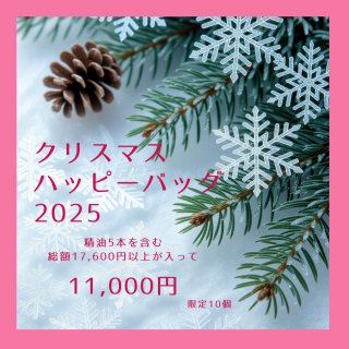 ��2025ǯ�����̸���ۤ�����ȤΥ��ꥹ�ޥ��ϥåԡ��Хå�