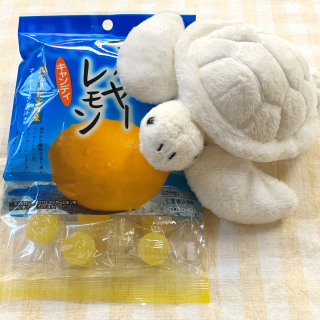 マイヤーレモンキャンディ 【白カメを添えて】