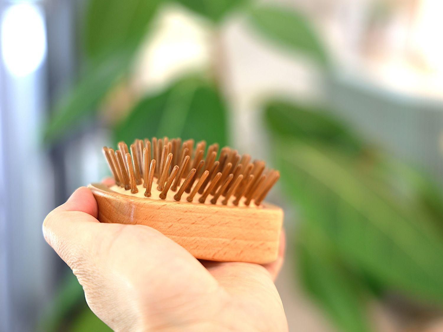 Brush 3点セット（ペス商品） Intex Replacement Wheel Brush for ZX300 Automatic Swimming