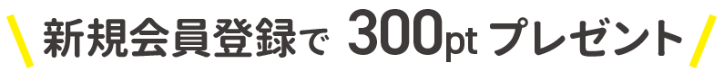 Ͽ300ptץ쥼ȡ