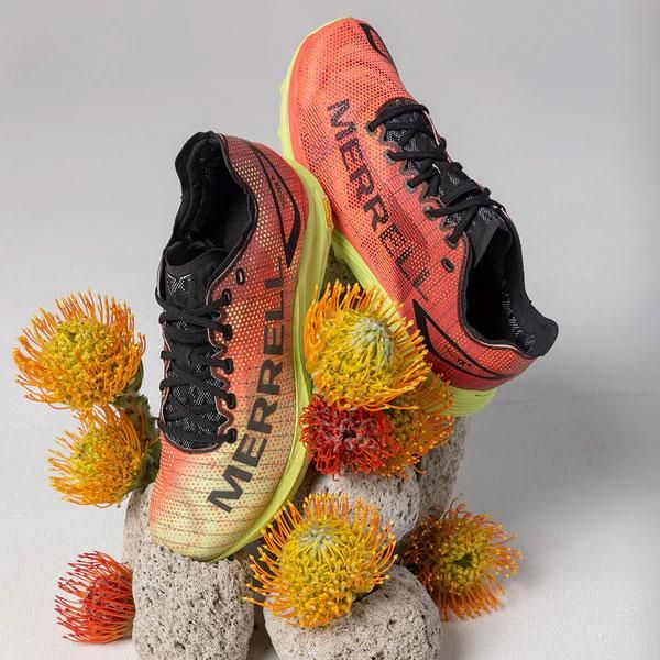 mezz 限定モレル　スイス国 mezz 限定モレル スイス国 mezz 限定モレル スイス国