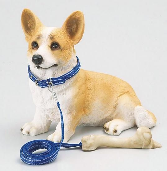 コーギー ADELE PETS | 柴とコーギーのミックス犬