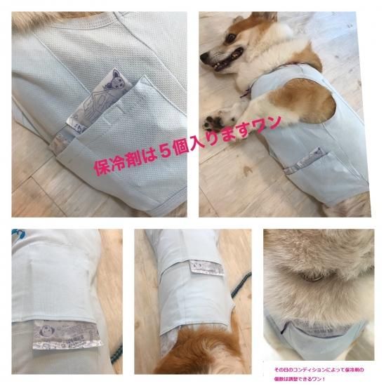 保冷剤が入るポケット付き 盲導犬クールtシャツ Forest Momo