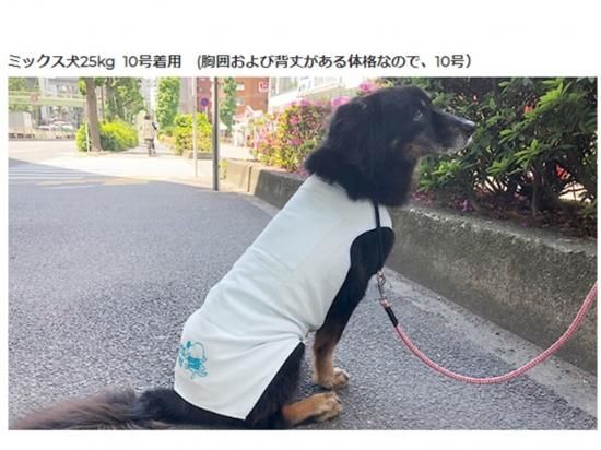 保冷剤が入るポケット付き 盲導犬クールtシャツ Forest Momo