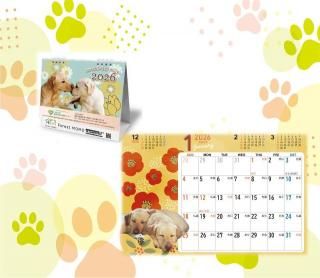 <img class='new_mark_img1' src='https://img.shop-pro.jp/img/new/icons12.gif' style='border:none;display:inline;margin:0px;padding:0px;width:auto;' />ǯ١Ƴ X Forest MOMO  ܥ