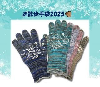 <img class='new_mark_img1' src='https://img.shop-pro.jp/img/new/icons12.gif' style='border:none;display:inline;margin:0px;padding:0px;width:auto;' />Ƴ📣2025