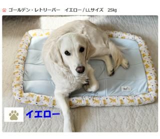 <img class='new_mark_img1' src='https://img.shop-pro.jp/img/new/icons29.gif' style='border:none;display:inline;margin:0px;padding:0px;width:auto;' />Ƴ📣Ҥޥåȥ٥åȡ淿緿ѡ