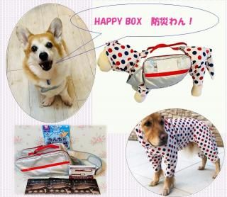 <img class='new_mark_img1' src='https://img.shop-pro.jp/img/new/icons33.gif' style='border:none;display:inline;margin:0px;padding:0px;width:auto;' />HAPPY BOX ɺҤ