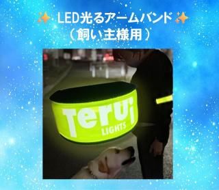 <img class='new_mark_img1' src='https://img.shop-pro.jp/img/new/icons12.gif' style='border:none;display:inline;margin:0px;padding:0px;width:auto;' />Ƴ📣LED륢Хɡʻѡ