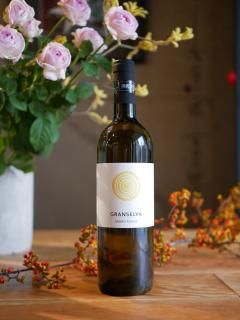 <img class='new_mark_img1' src='https://img.shop-pro.jp/img/new/icons5.gif' style='border:none;display:inline;margin:0px;padding:0px;width:auto;' />  å꡼ 24'󥻥Il Cavallino 24'Granselva