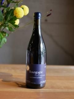 ɥ᡼ ֥ꥹ ޥ륿 19'֥르˥ 롼Domaine Brice Martin 19' Bourgogne Rouge