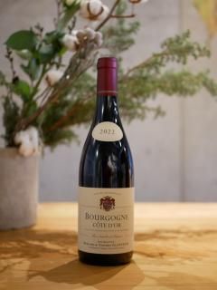 クラシカル - bottle shop Anche Vino!