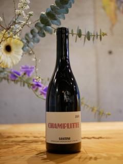 ƥˡ쥯ƥ 23'ץåȡSANTINI COLLECTIVE 23' Champlitte