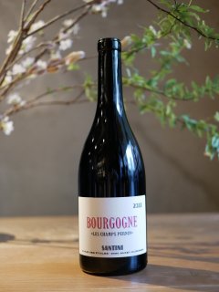 ƥˡ쥯ƥ 22' ͡    ڥʥSANTINI COLLECTIVE 22'Bourgogne Cote Chalonnais