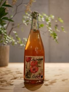 եХ 23'ɥ å ᡼ Floribunda 23' Sidro alla Mela Roseɡ