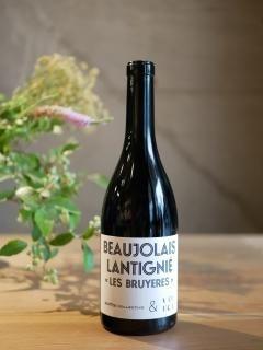 ƥˡ쥯ƥ 18'ܡ졦ƥ˥  ֥奤SANTINI COLLECTIVE 18' Beaujolais Lantigie Les Bruyeres