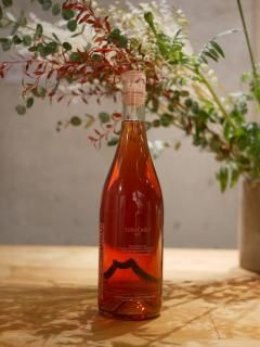 ե󥯥ͥå 22' ȡFrank Cornelissen 22'Susucaru Rosato