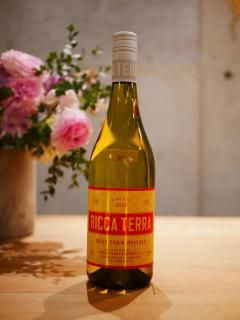 åƥå 23'ǥ ⥹ȡRicca Terra 23'Daisy Chain Moscato ˡ