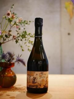 륢󡦥᡼ 21'  ơ 硼̡AURELIEN LEMAIRE 21'Les Terres Jaunes