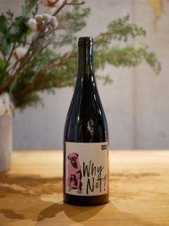 KAZU WINE 23'ۥ磻Υå? ԥΡΥKAZU WINE 23'