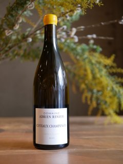 ɥꥢ Υ 20'ȡץΥ 른 ֥Adrien Renoir 20'Coteaux Champenois Verzy Blanc