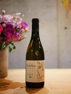 󥯥 23'֥Domaine de lEnclos 23'Chablis 