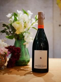 シャンパーニュ - bottle shop Anche Vino! シャンパーニュ - bottle shop Anche Vino!