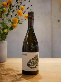 <img class='new_mark_img1' src='https://img.shop-pro.jp/img/new/icons5.gif' style='border:none;display:inline;margin:0px;padding:0px;width:auto;' />エリーズ ブジィ NV'シャティヨン ド オート グラン クリュ(Elise Bougy NV'Chetillon de Haut  GC)※22VT Base