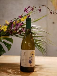 С/ ƥꥷ 磻ʥ꡼ 22'륫ĥƥ ĥХ͡Volver/Tilisma Winery 22'Rkatsiteli Mtsvane 