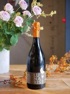 <img class='new_mark_img1' src='https://img.shop-pro.jp/img/new/icons5.gif' style='border:none;display:inline;margin:0px;padding:0px;width:auto;' /> å꡼ 24'ʡꥹ åLa Collina 24'Lunaris Secco