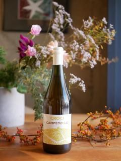 <img class='new_mark_img1' src='https://img.shop-pro.jp/img/new/icons5.gif' style='border:none;display:inline;margin:0px;padding:0px;width:auto;' />�������� 23'����ڥǥå� �ե�åĥ���ơ�Croci 23'Campedello��