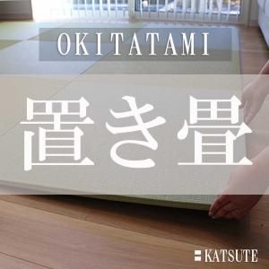 製作キット】ミニ畳製作キット 1枚 - 畳・ござ・上敷き・置き畳