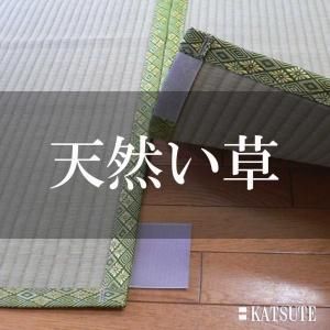 ŷ