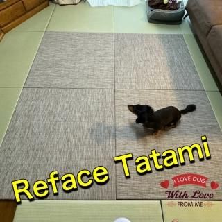 Reface Tatami(ペット畳)<img class='new_mark_img2' src='https://img.shop-pro.jp/img/new/icons1.gif' style='border:none;display:inline;margin:0px;padding:0px;width:auto;' />