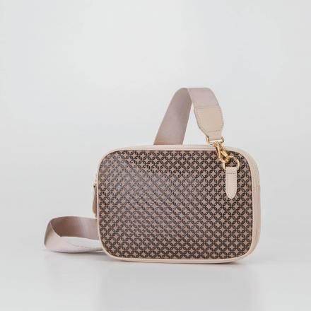 24ݥåȡΥ졼ϡ㼿طҤ