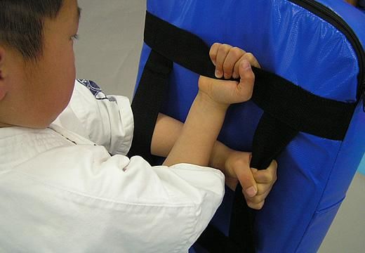 ビッグミットジュニア - 格闘技用トレーニンググッズの専門店 ビッグミットジュニア - 格闘技用トレーニンググッズの専門店