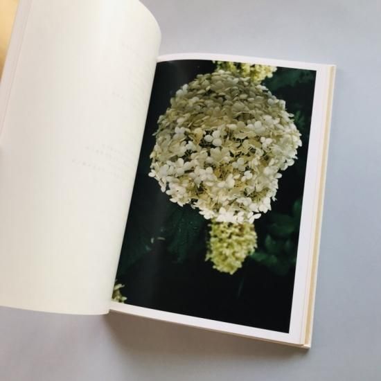 YURIE NAGASHIMA 長島有里枝 SWISS長島有里枝Yurie Nagashima - 古本買取販売 | ATELIER