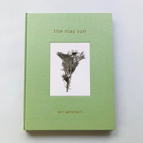 the may sun｜terri weifenbach テリ・ワイフェンバック