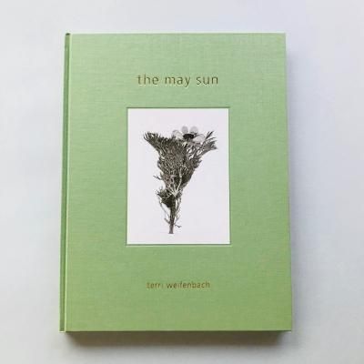 the may sun<br>terri weifenbach<br>ƥꡦ磻եХå