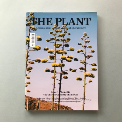 THE PLANT Issue 3 Camellia