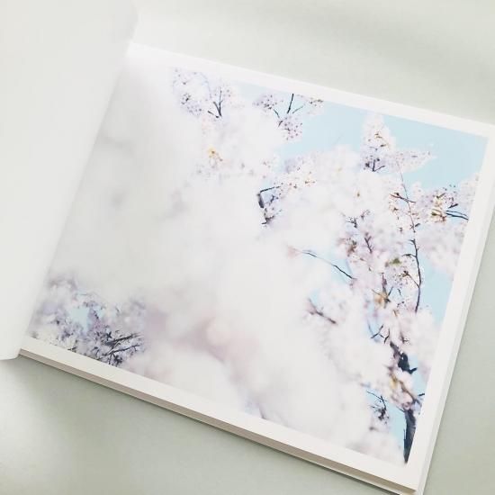 鈴木理策　SAKURA Sakura | 鈴木 理策 |本 | 通販 | Amazon
