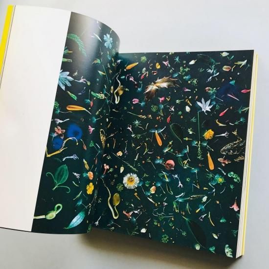 I am a king 東松照明Shomei Tomatsu - 古本買取販売 | ATELIER