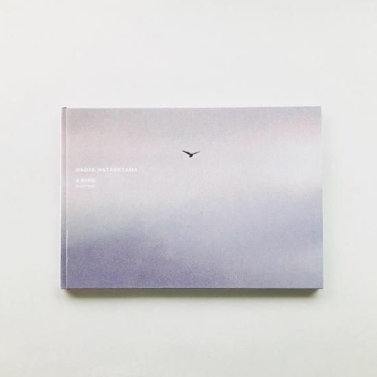Naoya Hatakeyama 畠山直哉 A BIRD BLAST #130 A BIRD BLAST #130 / 畠山直哉Naoya Hatakeyama - 古本買取販売