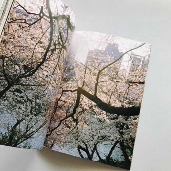 ROCKS / TOKYO NO.7林文浩, 金村修, 鈴木親 - 古本買取販売 ROCKS / TOKYO NO.7林文浩, 金村修, 鈴木親 - 古本買取販売